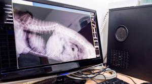 Digital Radiology Advanced Imaging