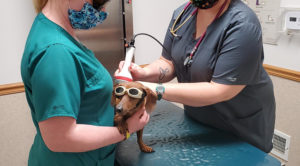 Laser Therapy In Plover WI
