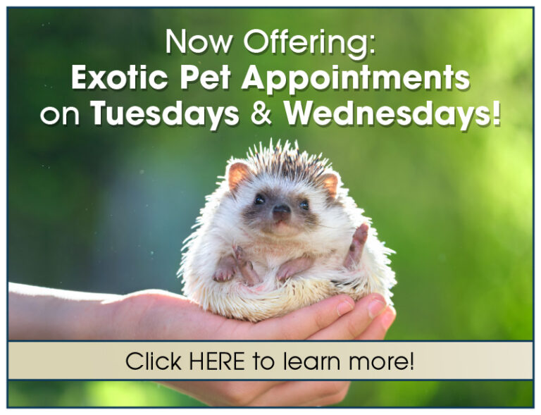 Veterinary Medical Center Oakview In Plover, Wisconsin